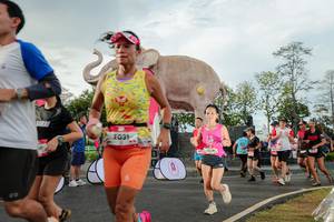 BIB: 
                            <button type="button" onclick="openModal(26528331)" class="btn btn-primary btn-sm float-right btn-popup" data-toggle="modal" data-target=".modal-high-quality">
                        <i class="fas fa-shopping-cart"></i> Add to Cart
                    </button>
                                            <button type="button" onclick="isThisMe(26528331, true)" class="btn btn-success btn-sm float-right btn-popup btn-isme hidden" data-toggle="tooltip" data-placement="bottom" title="นี่คือรูปของคุณใช่ไหม คลิกที่นี่เพื่อเอาเข้าอัลบั้ม">
                        <i class="fas fa-plus"></i> Add to album
                    </button>
                    <button type="button" onclick="isThisMe(26528331, false)" class="btn btn-warning btn-sm float-right btn-popup btn-isnotme hidden">
                        <i class="fas fa-ban"></i> Remove from album
                    </button>